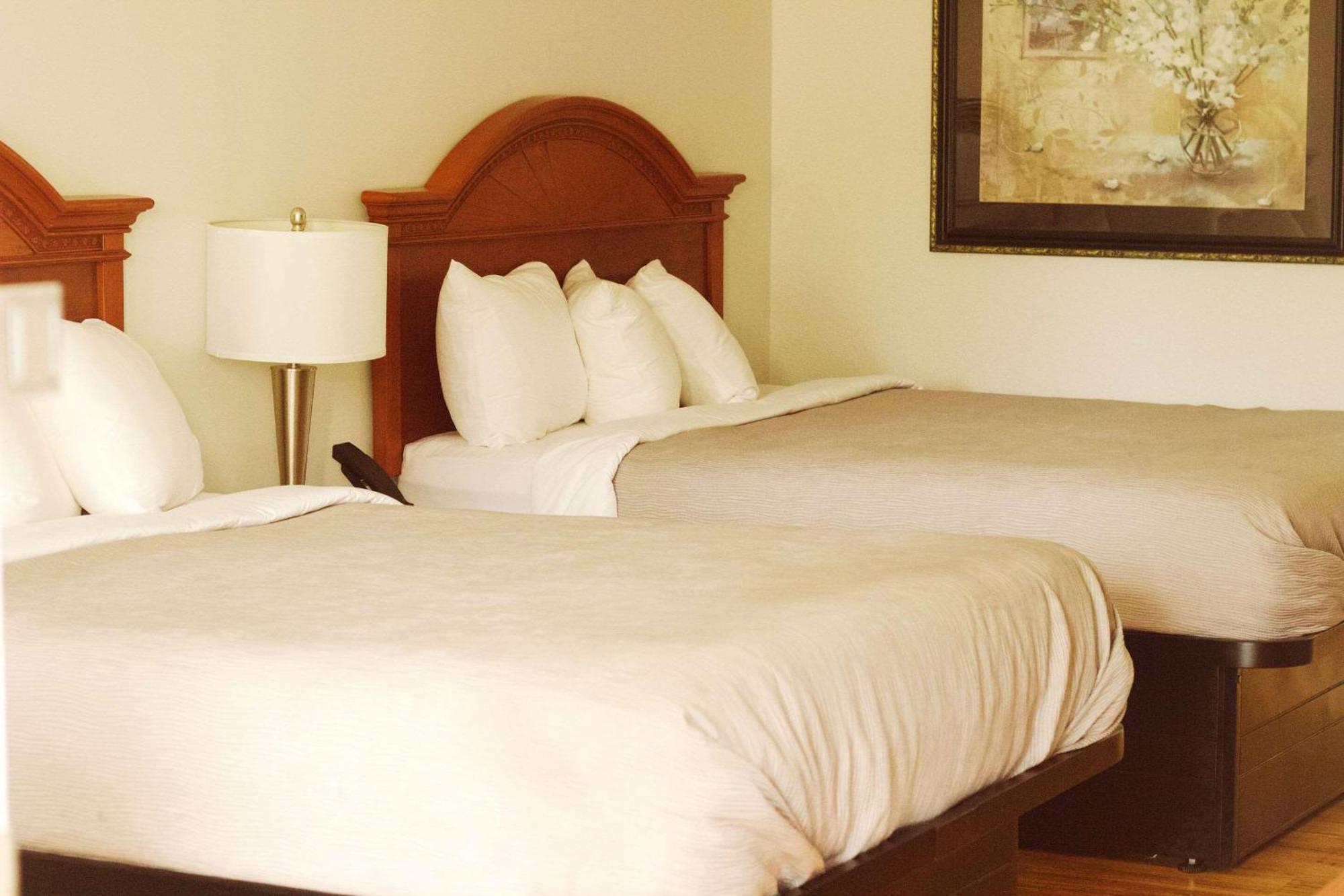 Quality Inn Near Chattanooga South リングゴールド エクステリア 写真