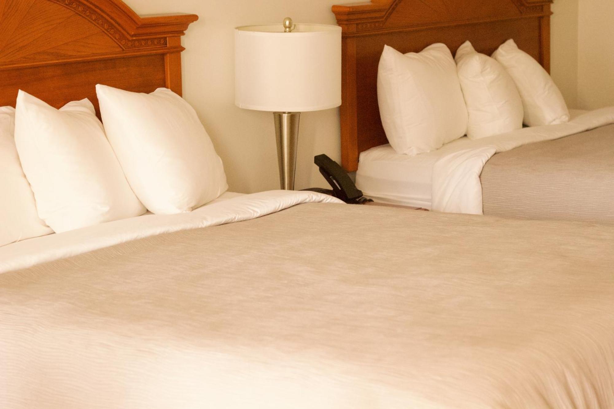 Quality Inn Near Chattanooga South リングゴールド エクステリア 写真