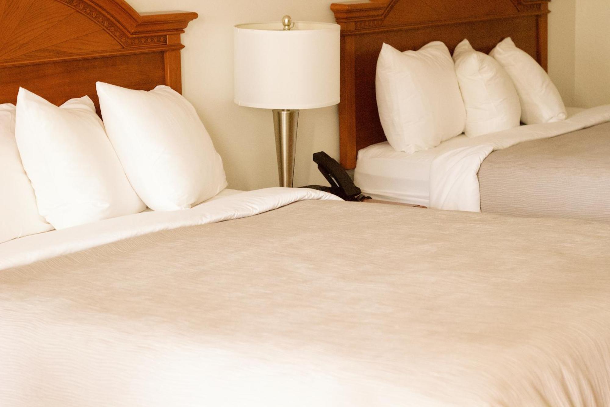 Quality Inn Near Chattanooga South リングゴールド エクステリア 写真
